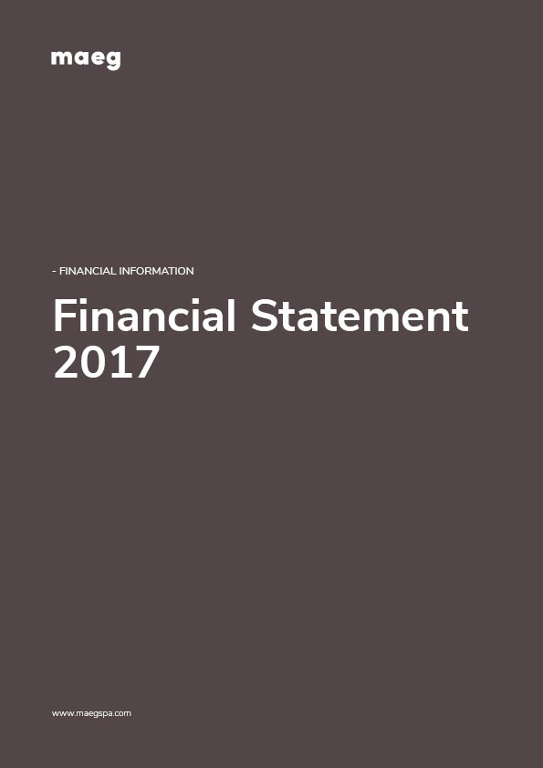 FINANCIAL STATEMENT 2017