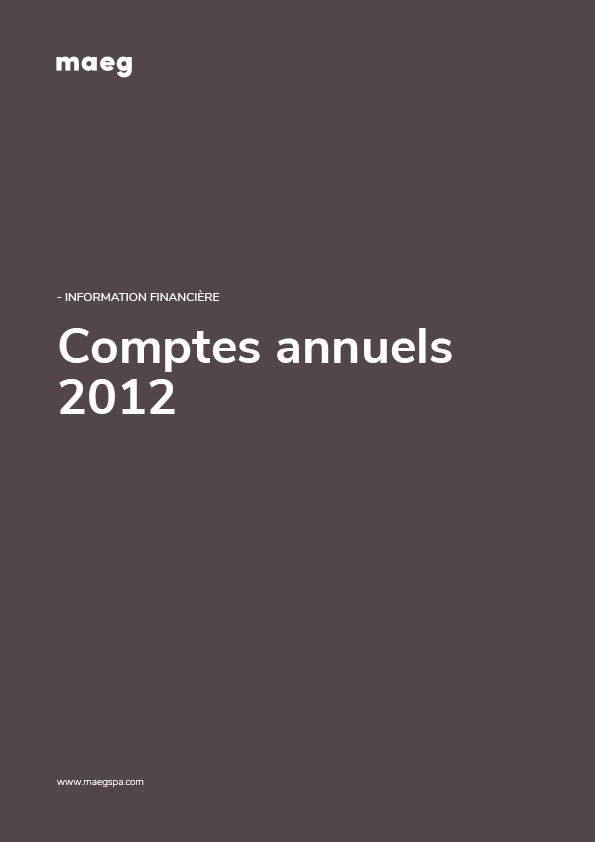 FINANCIAL STATEMENT 2012